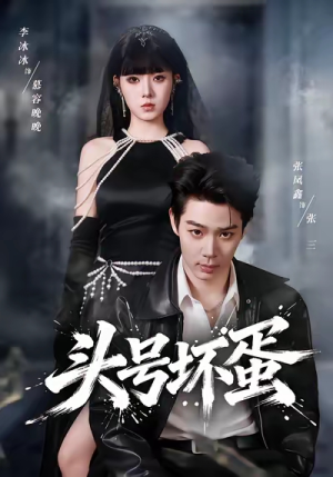 头号坏蛋（58集）独家资源免费看