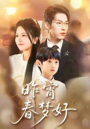 昨宵春梦好（90集）短剧追不停