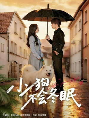 小狗不会冬眠（70集）火爆短剧热播中