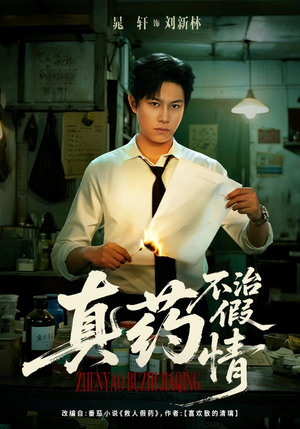 真药不治假情（60集）全集完整版