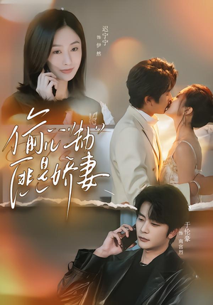 偷“心”劫匪是娇妻（61集）免费看短剧全集