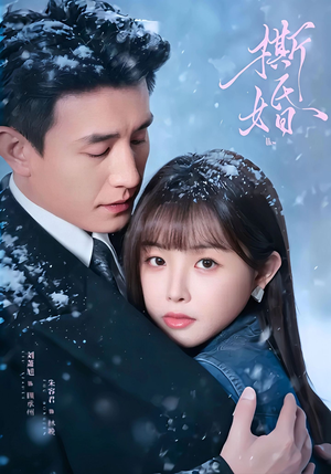 撕婚（23集）全剧看到大结局