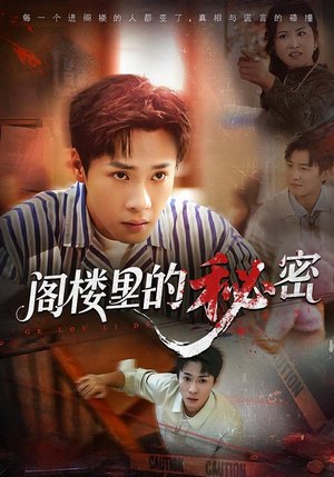 阁楼里的秘密（76集）追短剧太上头了