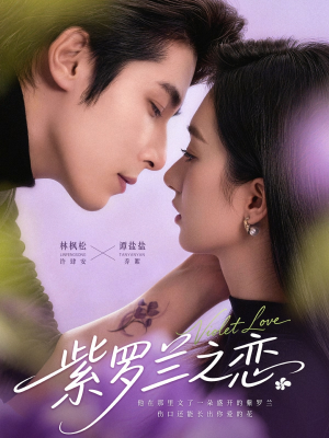 紫罗兰之恋（82集）看短剧放松一下