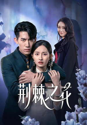 荆棘之花（100集）短剧太精彩了