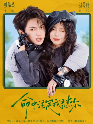 命中注定我怼你（79集）百度网盘在线看