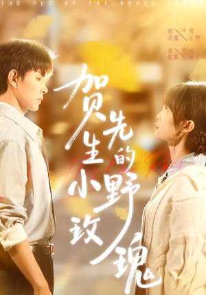 贺先生的小野玫瑰（99集）短剧爆款推荐