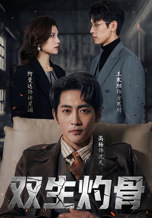 双生灼骨（60集）热播短剧追不停