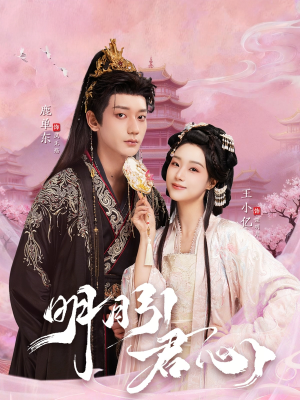 明月引君心（74集）百万短剧抢先看