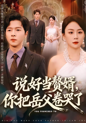 说好当赘婿，你把岳父卷哭了（80集）追短剧看全集
