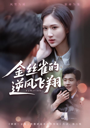 金丝雀的逆风飞翔（80集）小短剧推荐