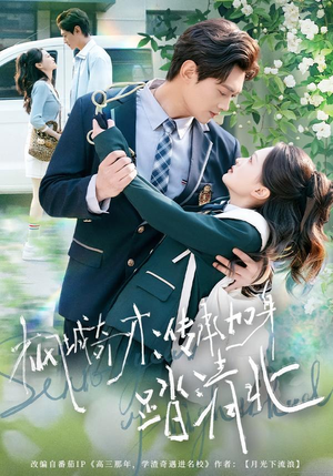 枫城奇才：传承加身踏清北（80集）完整版免费观看