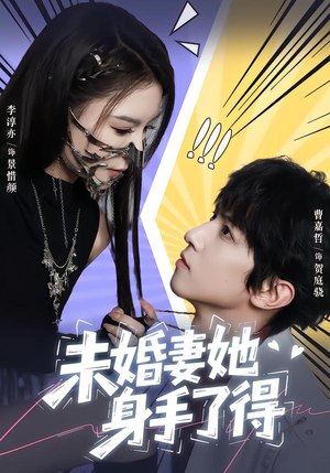 未婚妻她身手了得（50集）精彩的网络短剧