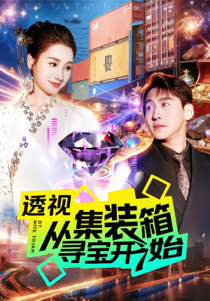 透视从集装箱寻宝开始（117集）高分推荐免费看