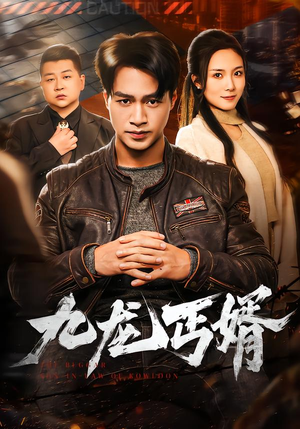 九龙丐婿（81集）在哪里可以看