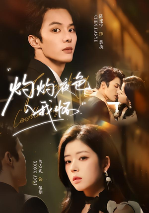 灼灼夜色入我怀（60集）在哪个平台看好