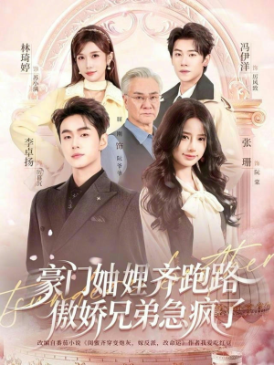 豪门妯娌齐跑路傲娇兄弟急疯了（70集）免费看
