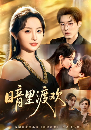 暗里渡欢（80集）第三季