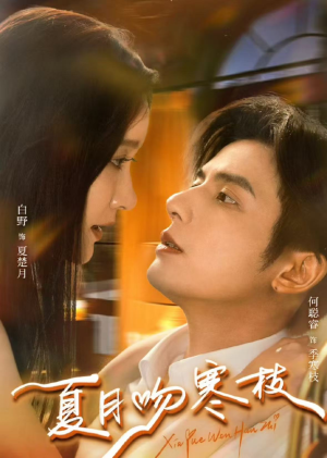 夏月吻寒枝（50集）精彩好看的短剧