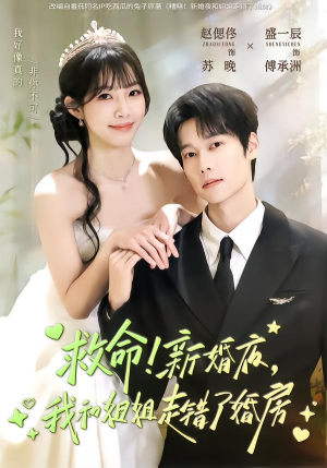 救命！新婚夜，我和姐姐走错了婚房（58集）精彩短剧来袭