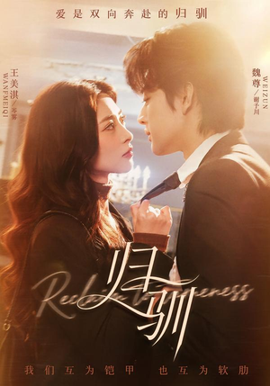 归驯（82集）一个短剧看全集