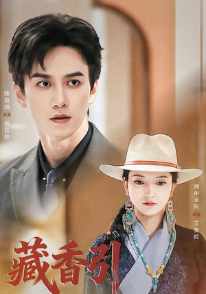 藏香引（63集）爆款短剧追不停