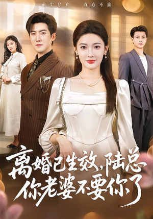离婚已生效，陆总你老婆不要你了（61集）每日短剧推荐