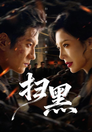 扫黑（70集）海量资源免费看