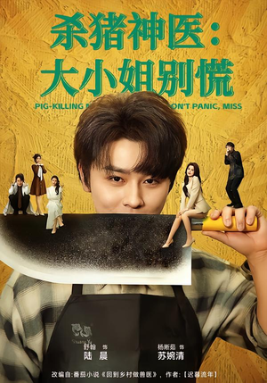 杀猪神医，大小姐别慌（80集）火爆热门短剧