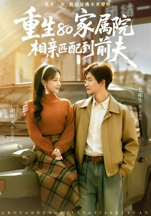 重生80家属院，相亲匹配到前夫（77集）精彩不断免费看