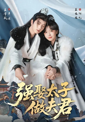 强娶太子做夫君（67集）免费看全集