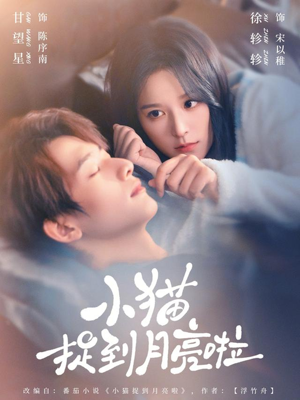 小猫捉到月亮啦（80集）热门火爆短剧