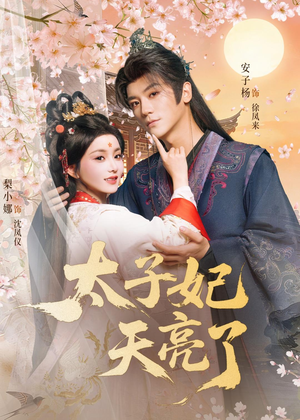 太子妃天亮了（80集）80到100集