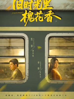 旧时光里槐花香（70集）热门短剧抢先看