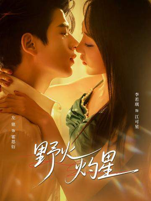 野火灼星（56集）每日短剧分享