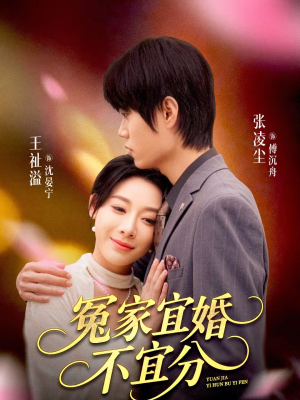 冤家宜婚不宜分（80集）热门短剧又来了